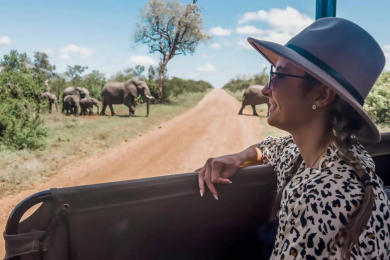 Savannah wilderness representing Uganda wildlife parks