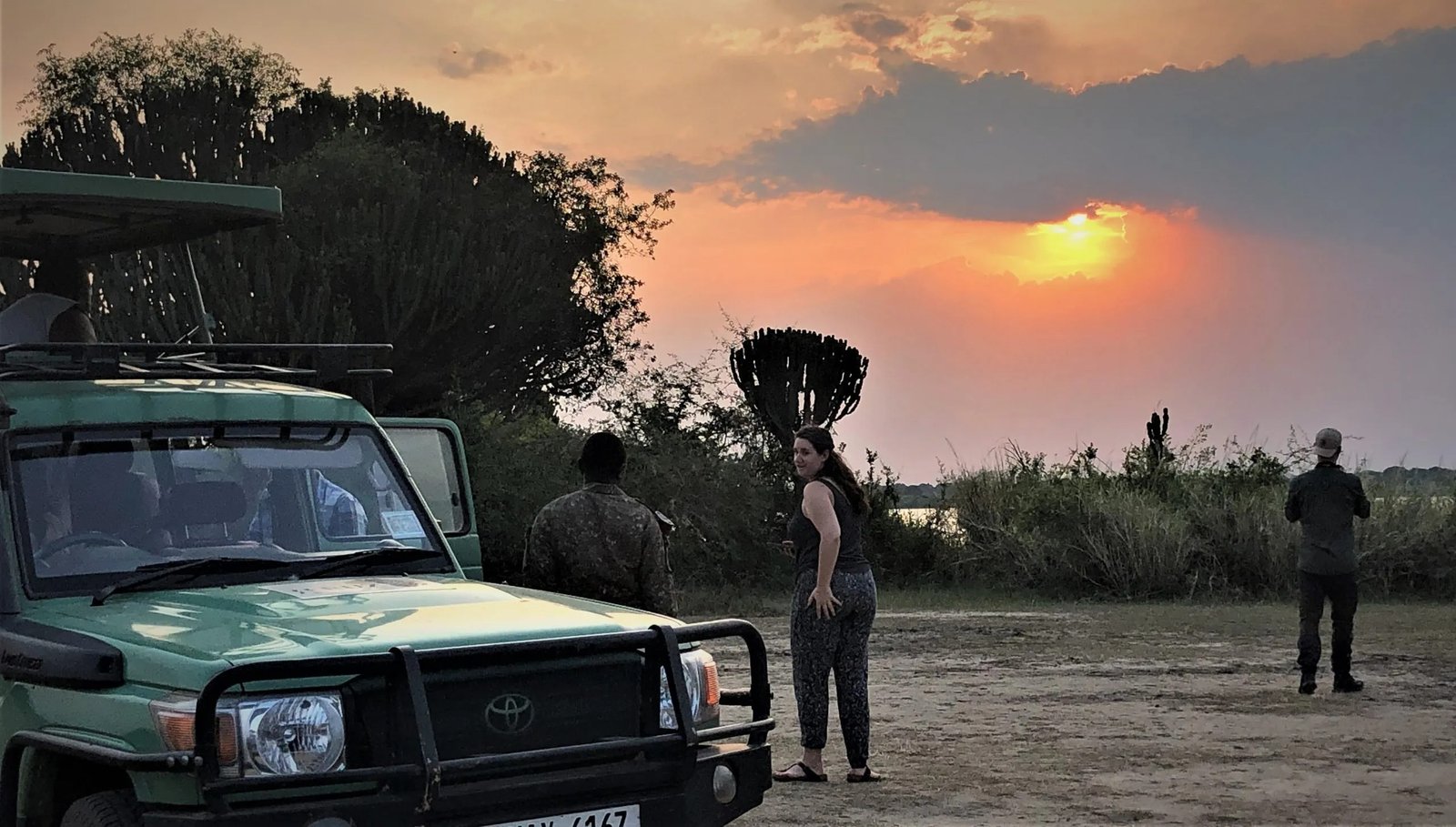 Wildlife encounter in an African forest