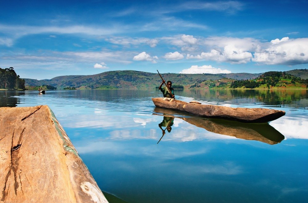 Wildlife and scenic nature representing an extended safari